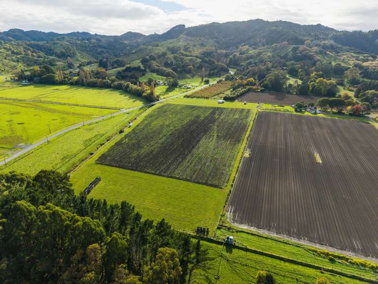 Waimata Valley Road Makauri_6