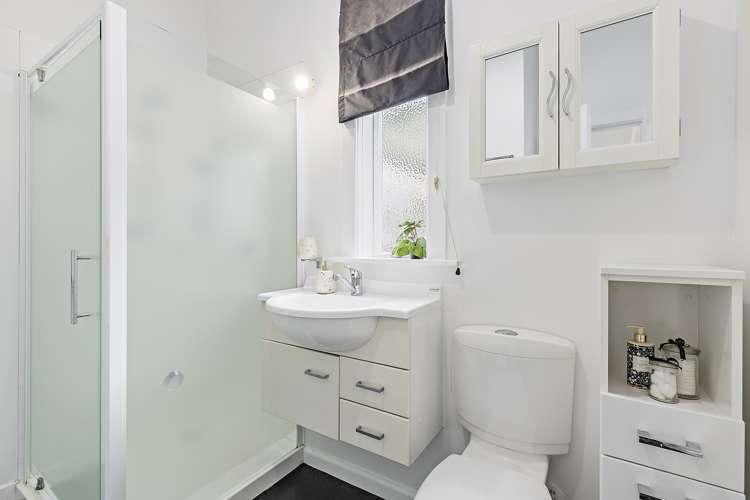 18 Newman Terrace Thorndon_20