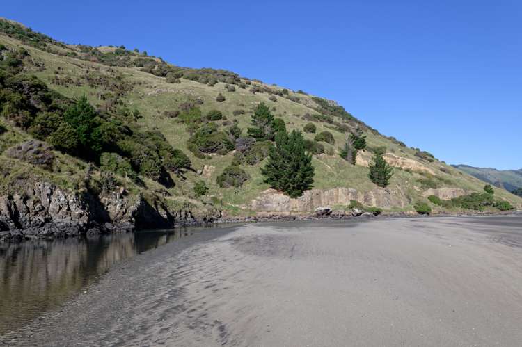 115 Dalglishs Road Le Bons Bay_18