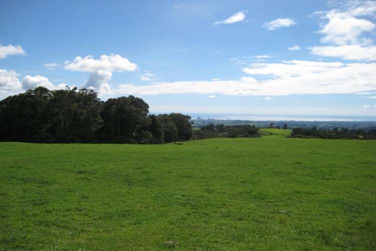 1113 Plymouth Road Koru_4