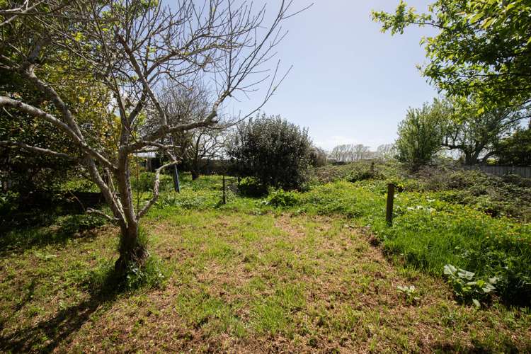 17 Orchard East Road Ngatea_18