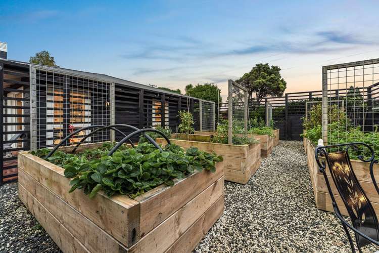 181 Baddeleys Beach Road Tawharanui Peninsula_24