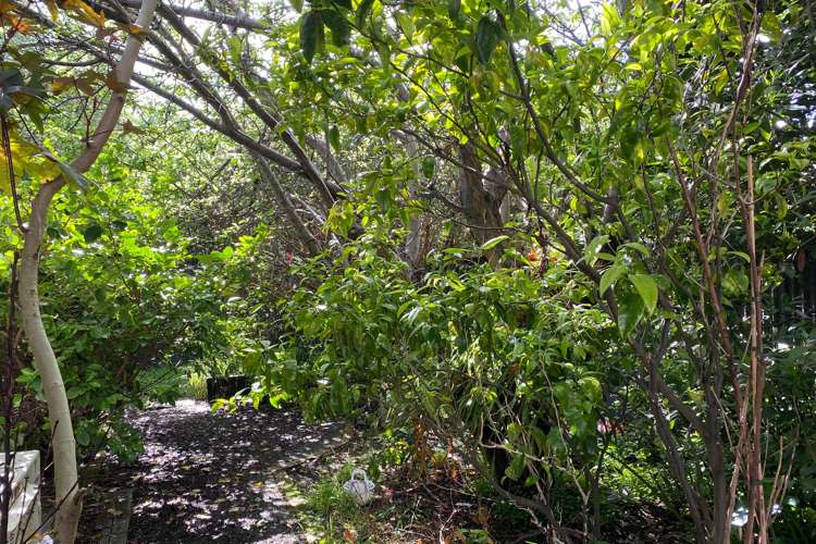 600 Cochrane Street Thames_10