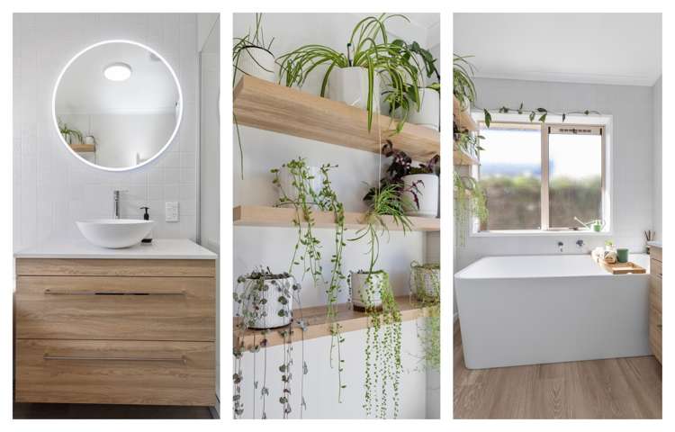 5 Crichton Terrace Mount Maunganui_3