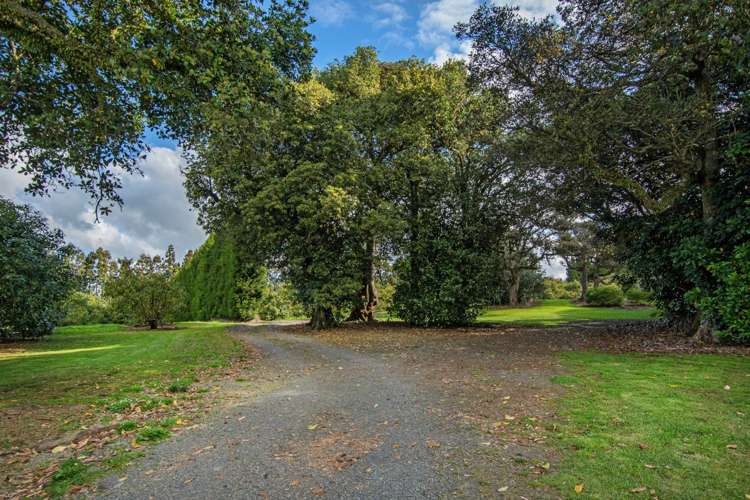 131 Tatton Road Maungatapere_17