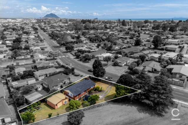 120 Links Avenue Mount Maunganui_1