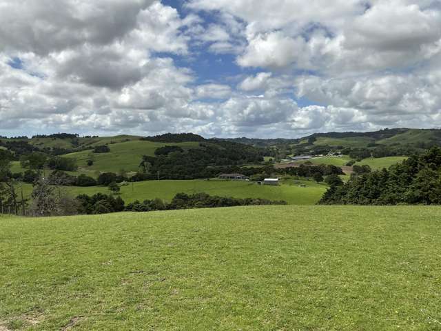 Lot 2/DP385487 Poyner Road Tahekeroa_3