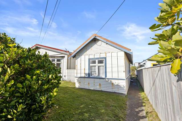 Rare Lyall Bay Find - Buy One or Both