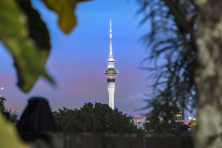 2/2a Buller Street Ponsonby_11