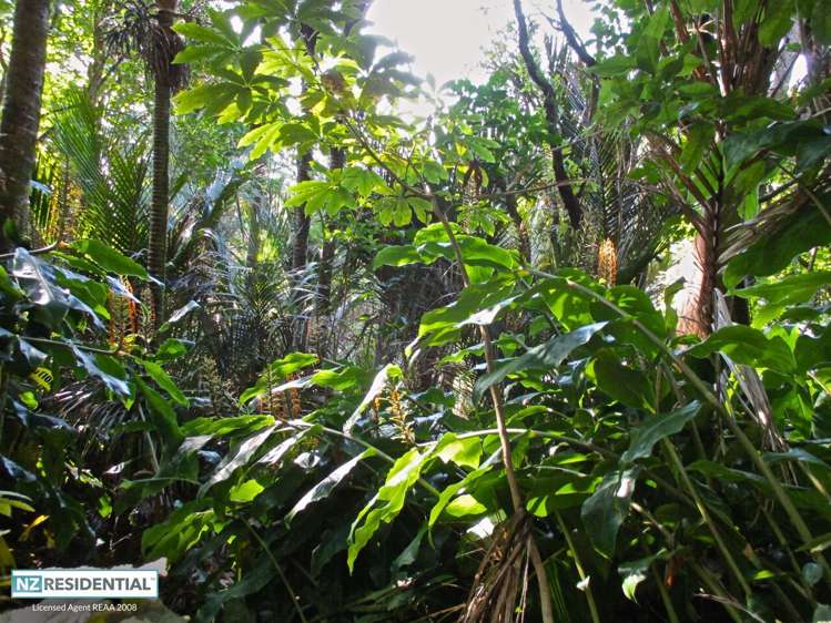 86 Victory Road Laingholm_15