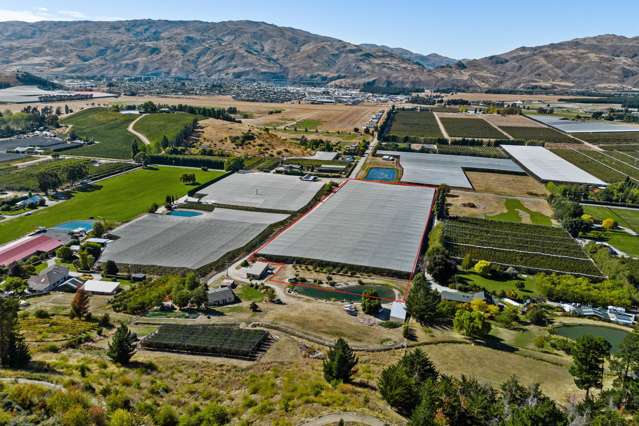 260 Ripponvale Road Cromwell_4