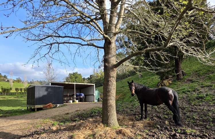 307 Whananaki North Road Opuawhanga_36