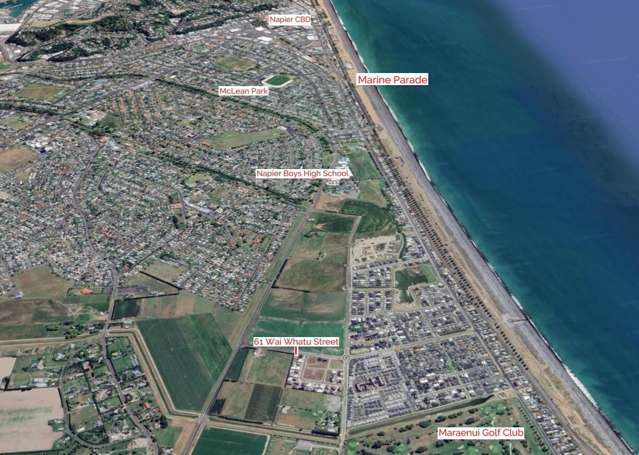 61 Wai Whatu Street Meeanee_4