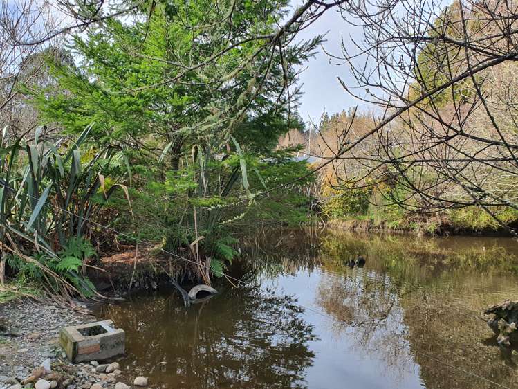 70 Russell Road Kaniere_12