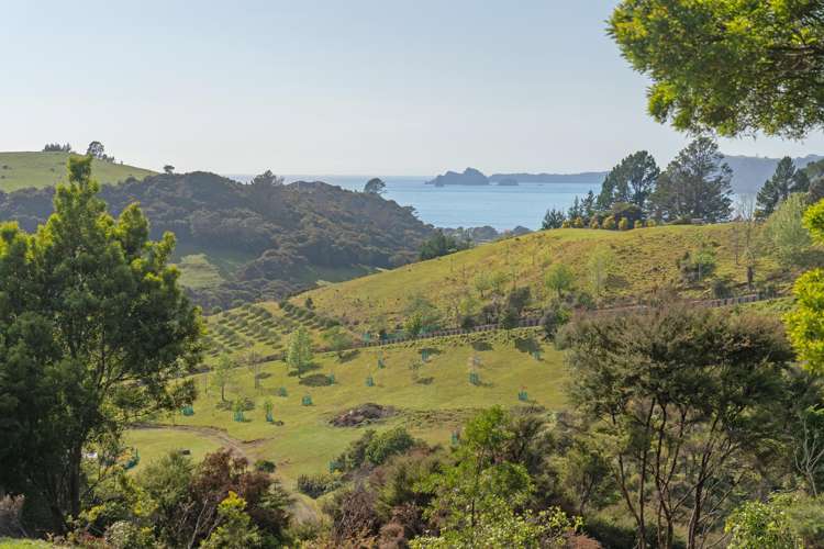 22 Spikes Way Whitianga_20