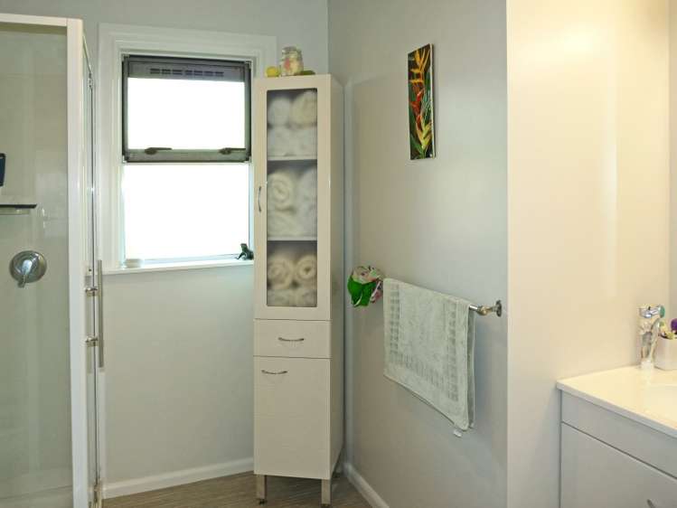 12 Reeves Street Stoke_13