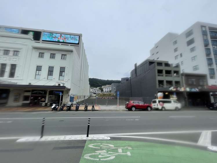 12 Kent Terrace Mt Victoria_6