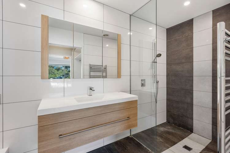 54 Tio Tio Road Miramar_11