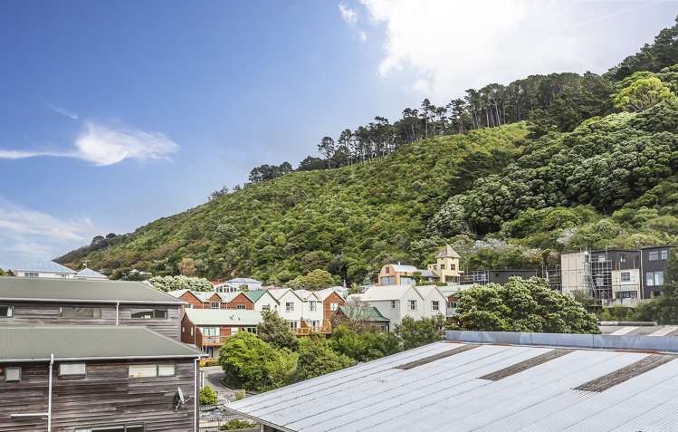 33 Little George Street Thorndon_1