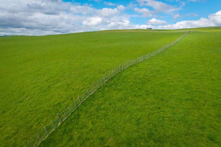 235 Otope Road Dannevirke_26