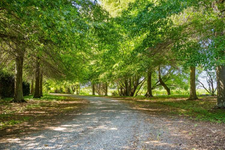 838 Rapaura Road Rapaura_23