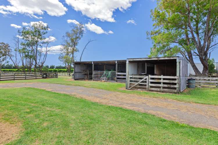 2D Ferry Road Spring Creek_27