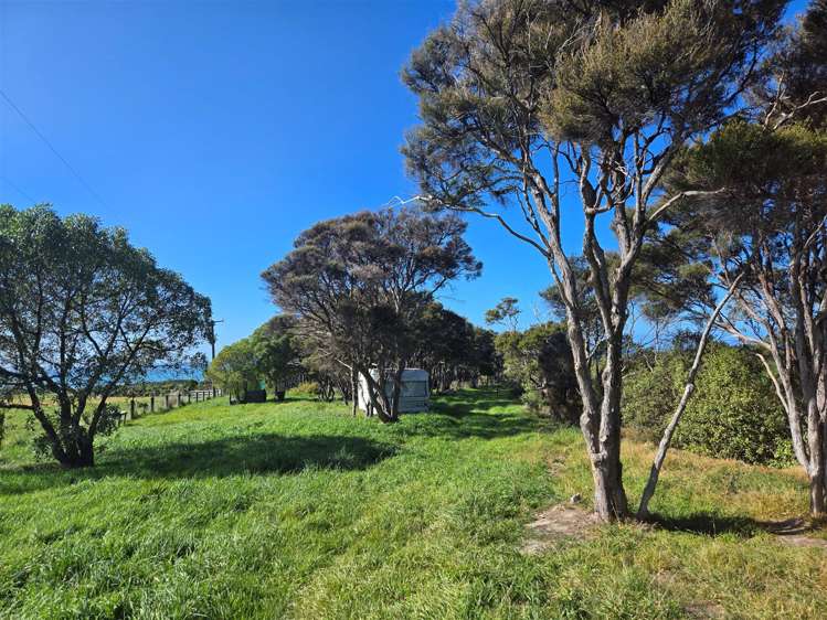 13/600 Conway Flat Road Cheviot_21