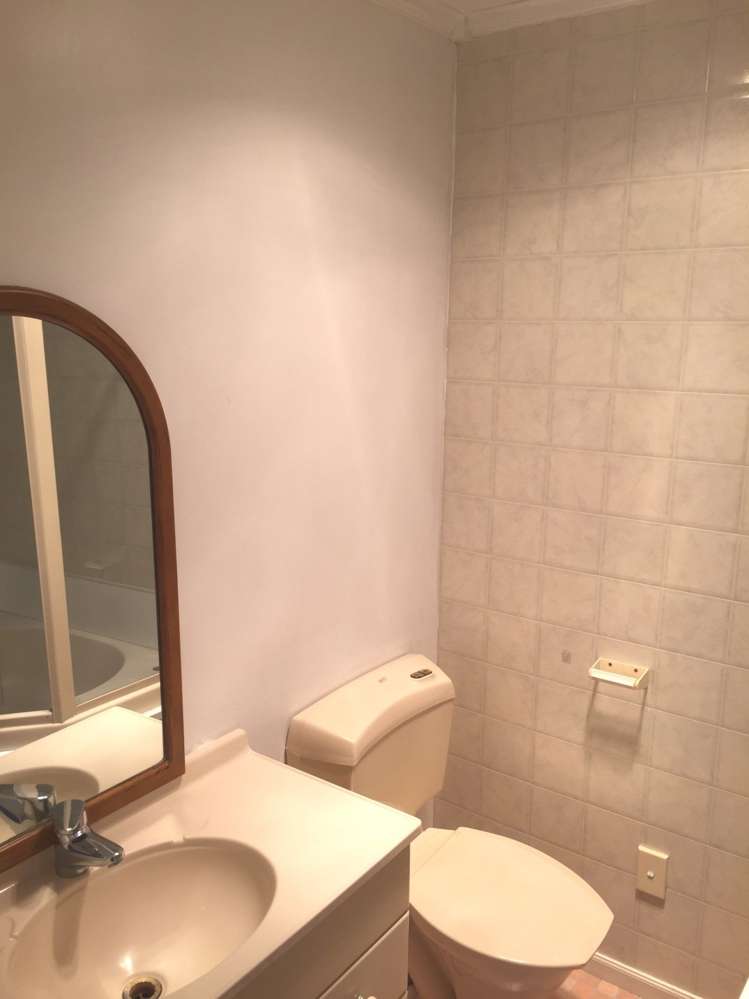 14 Richardson Road Mount Albert_7