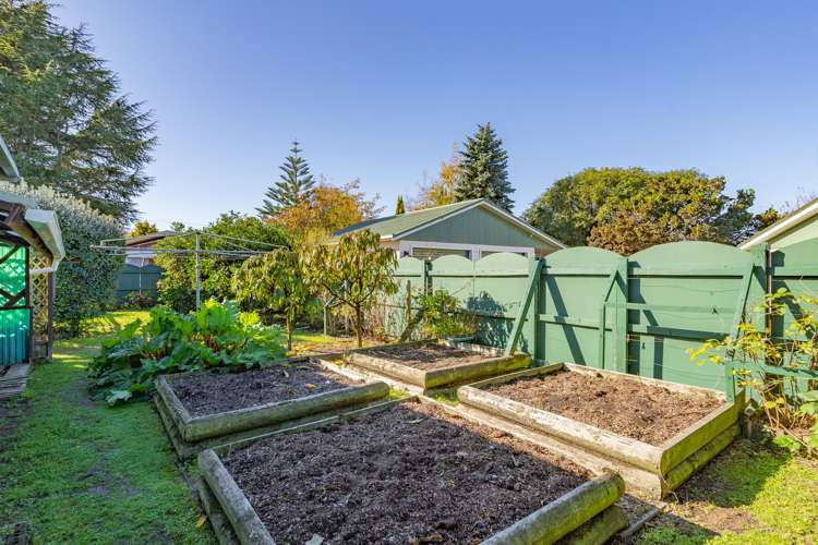 169 East Street Greytown_20