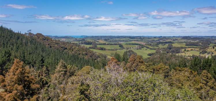 Wright Road Matakana_6