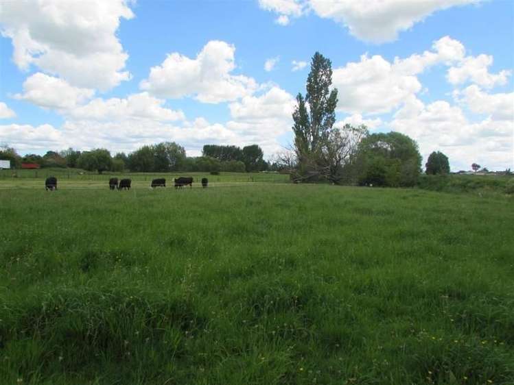 961 Park Road Te Awamutu_10