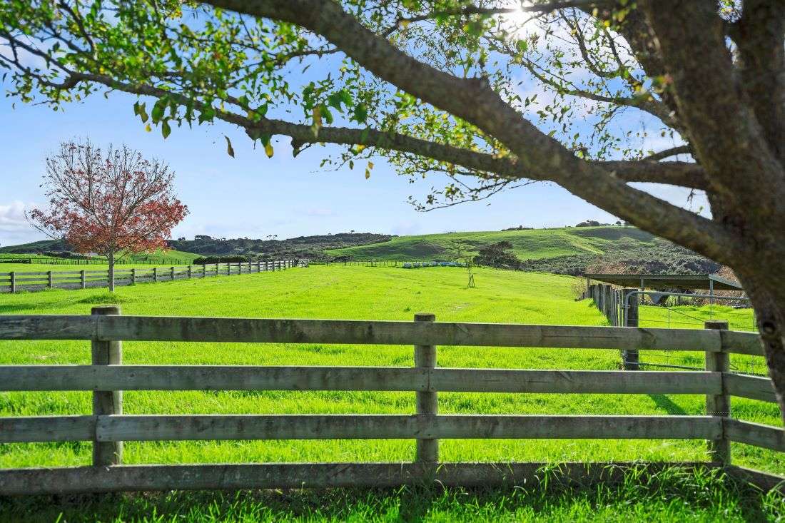 68D Tuparekura Road in South Head, Rodney, Auckland