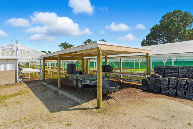 16 Lupton Street Waverley_16