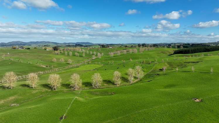 819 Waikokowai Road Ruawaro_26