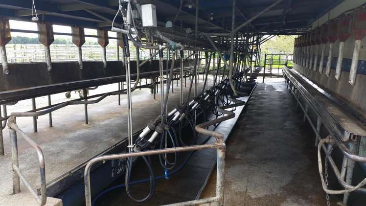 336 Te Aroha-Gordon Road Hauraki Surrounds_6