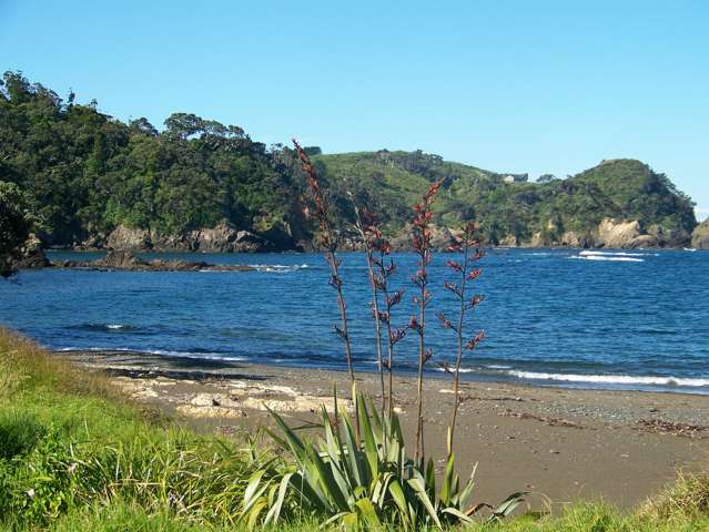 45 Landowners Lane Tutukaka Coast_2