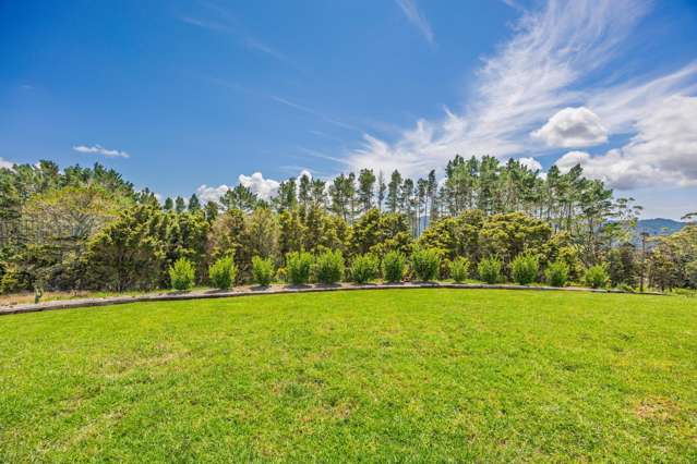 635 Golden Stairs Road Mareretu_1