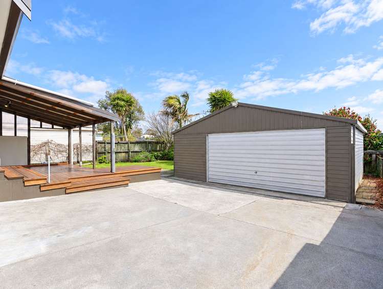 50 Poaka Avenue Dinsdale_24