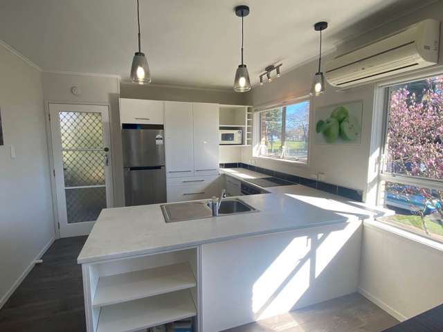 1/3 Edinburgh Street Pukekohe_2