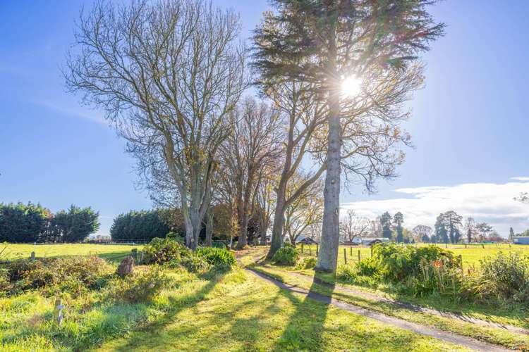 588 Holland Road Eureka_23