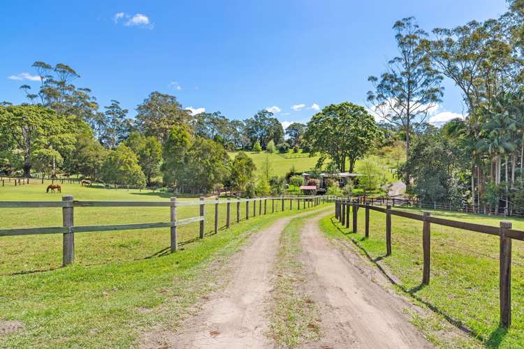 204 Main Western Road Tamborine Mountain_36