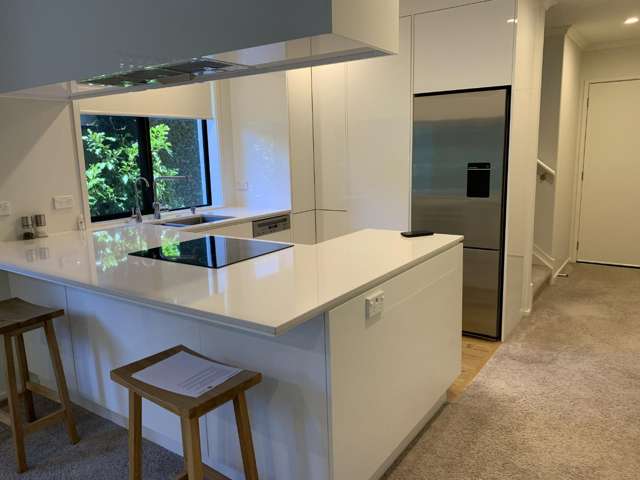 5/1 Brooklyn Road Claudelands_1