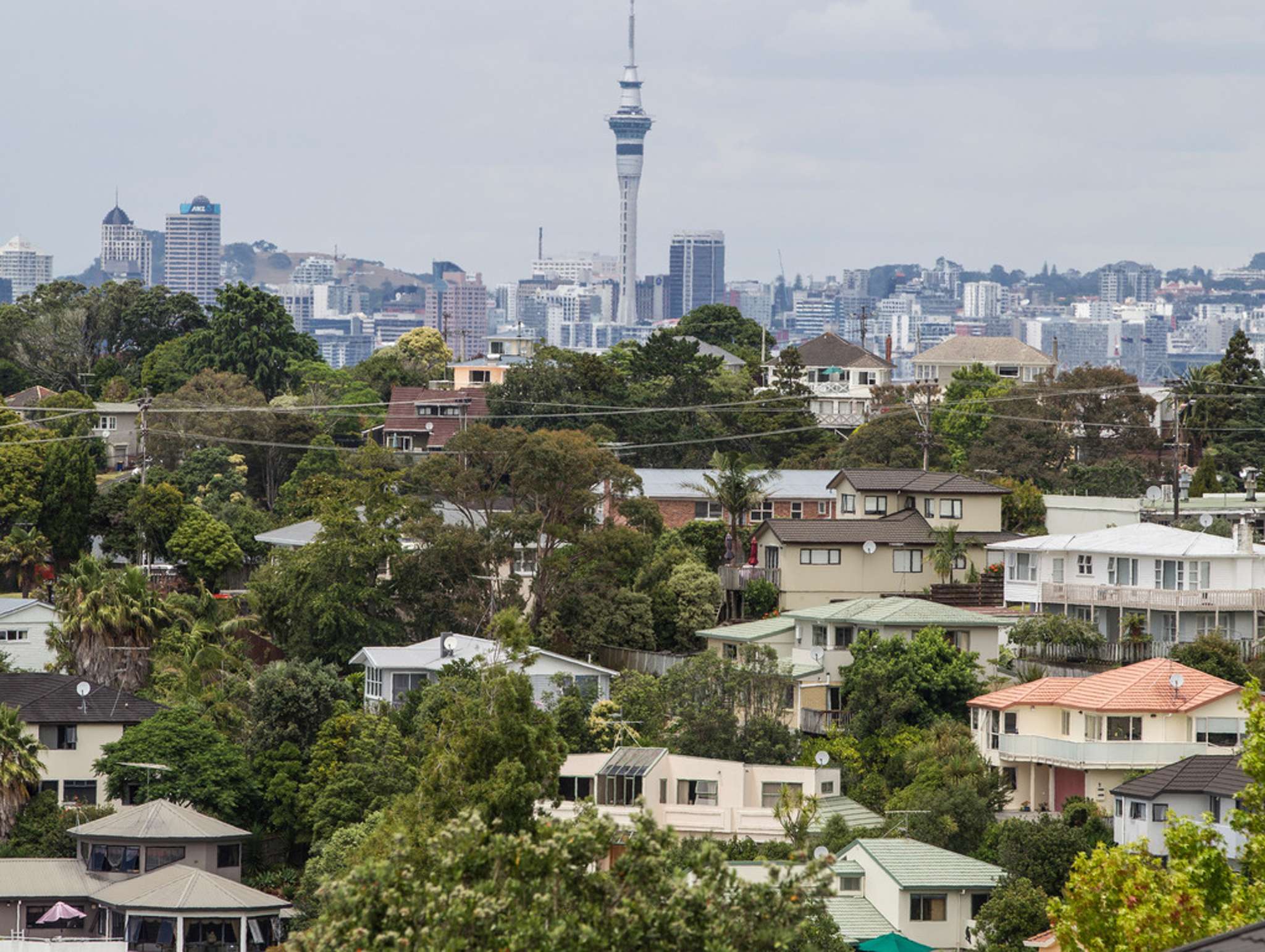 Auckland housing market perks up in March, says Barfoot & Thompson