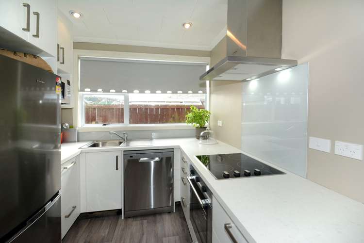 120 Hargest Crescent Saint Clair_1