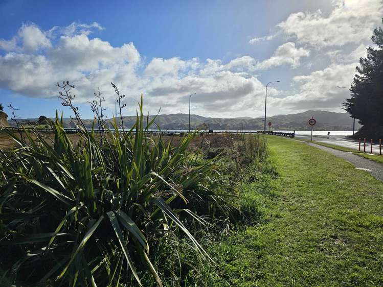 8 Eclipse Lane Whitby_10