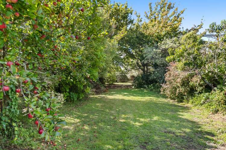 232 Fergusson Drive Heretaunga_18