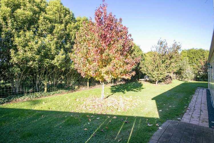 297 Bellevue Road Matangi_21