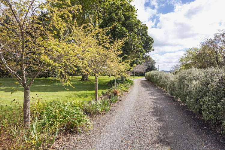 184 Te Matai Road_2