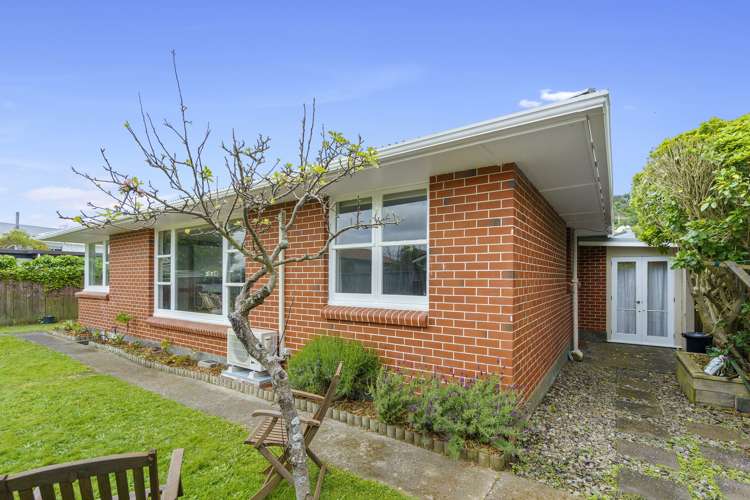 91a Ira Street Miramar_11