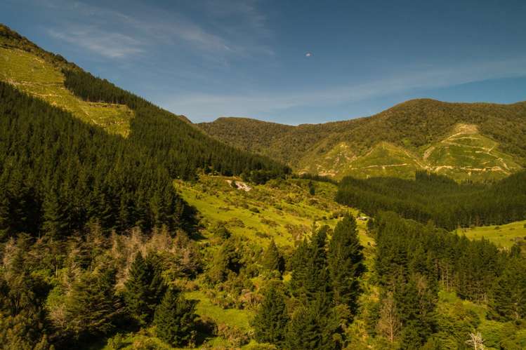 Four Fathom Bay Pelorus Sound_10